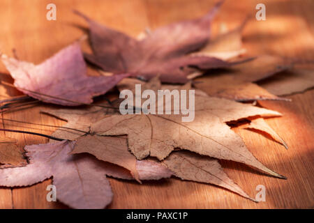 Autumn leaves on a wooden table Stock Photo