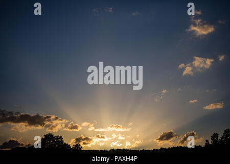 Sunrays light concept. Sunrise sunbeams through the clouds from the horizon, copy space, wallpaper. Stock Photo