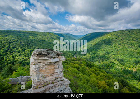 View of the Blackwater Canyon from Lindy Point, at Blackwater Falls State Park, West Virginia. Stock Photo