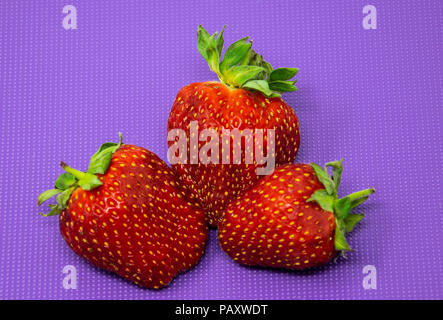 Reading, United Kingdom - July 08 2018:   Three red strawberries on a purple chopping board Stock Photo