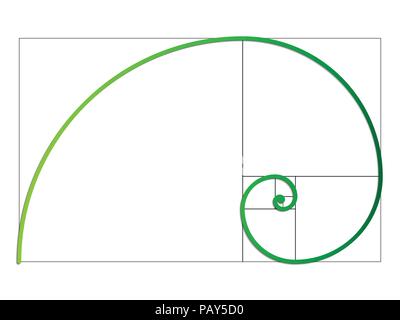 The Fibonacci spiral. Vector EPS 10 Stock Vector