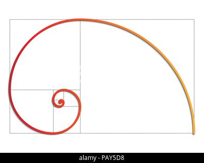 The Fibonacci spiral. Vector EPS 10 Stock Vector