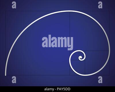 The Fibonacci spiral. Vector EPS 10 Stock Vector