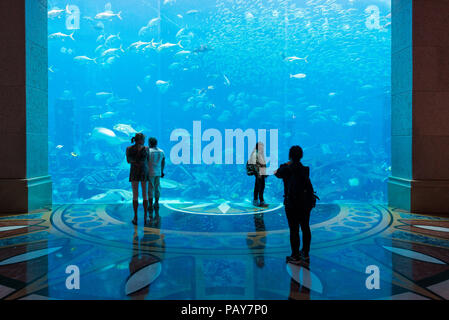 DUBAI, UAE - February 14, 2018: People admire aquarium with over 60000 fish, in Atlantis hotel. Capacity of aquarium is 11 million liters of water. Du Stock Photo