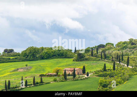 House in the countryside at a road with cypress trees Stock Photo