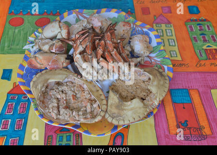 Prepared Brown crab, UK Stock Photo