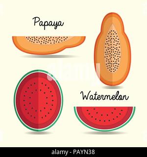 papaya and watermelon paper art style for background vector illustration,summer fruit Stock Vector