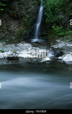 Lower Bridge Creek Falls, Tillamook State Forest, Oregon Stock Photo