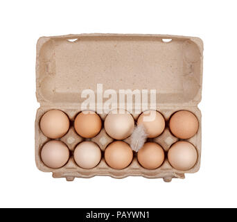 the eggs in the carton boxes laying isolated on white background top view close up Stock Photo