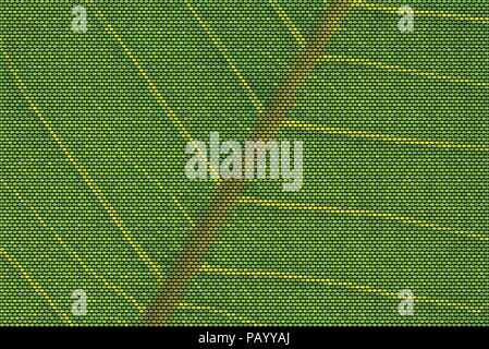 Vector Illustration of a backlit leaf made of dots showing nerves Stock Vector