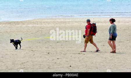 A couple walking their dog in a beach using a retractable dog lead, leash,Marazion,Cornwall, England,UK Stock Photo