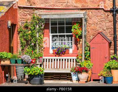 Picturesque seaside red sandstone cottage with colourful flower pots and bench, North Berwick, East Lothian, Scotland, UK Stock Photo