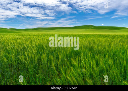 Palouse Region of Washington Stock Photo