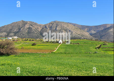 Beautiful natural landscape with traditional white church in green field. Naxos island, Cyclades, Greece Stock Photo