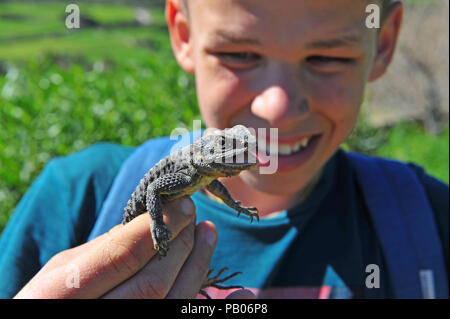 Young happy zoologist holding lizard in hands outdoors Stock Photo