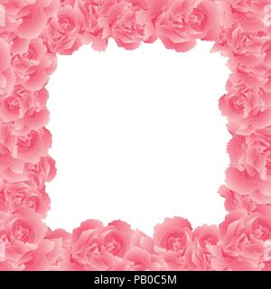 Dianthus caryophyllus - Pink Carnation Flower Border. Vector Illustration. Stock Vector