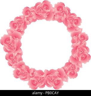 Dianthus caryophyllus - Pink Carnation Flower Wreath. Vector Illustration. Stock Vector