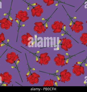 Dianthus caryophyllus - Red Carnation Flower on Purple Background. Vector Illustration. Stock Vector