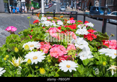 Summer flower display in the High Street in Arundel, West Sussex, England, UK. Summer flowers diaplay. Stock Photo