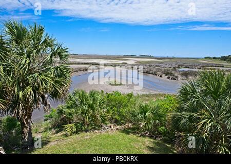 A wide angle view of a marshy area at Wakulla Springs along the Apalachee River in Florida Stock Photo