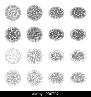 Pizza with meat, cheese and other filling. Different pizza set collection icons in outline,monochrome style vector symbol stock illustration . Stock Vector