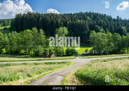 Street junction in the middle of the black forest nature landscape Stock Photo