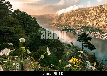 Overlooking the city of Kotor and Kotor bay in Montenegro from high up on a old trail. Stock Photo