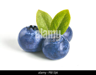 Blueberries isolated on white background. Extreme close up view of three blueberry berries with two green leaves. Isolated on white with clipping path. Stock Photo