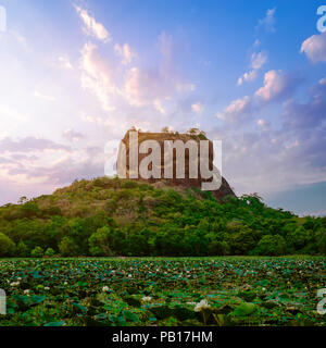 Amazing sunset view of Lion Rock with ancient fortress and temple famous world heritage in Sigiriya, Sri Lanka. Lotus flowers pond at foreground Stock Photo