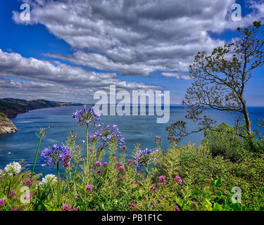 GB - DEVON: Babbacombe Bay seen from Clifftop Green (HDR Image) Stock Photo