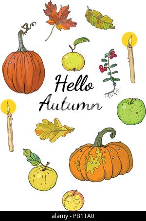 Hello autumn set, isolated objects with inscription: pumpkins, apples, oak and maple falling leaves, lingonberry, candles. Hand drawn vector illustration. Harvest season. Festive decoration. Stock Vector