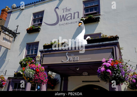 Thornbury, a south gloucestershire town england uk, The swan pub Stock Photo