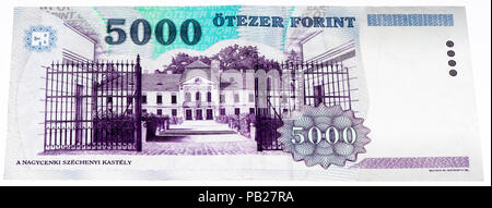 5000 forint in pounds best sale