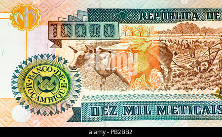 10000 Mozambican escudos bank note. Mozambican escudo is former currency of Mozambique Stock Photo