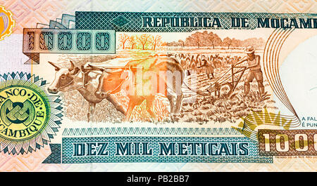 10000 Mozambican escudos bank note. Mozambican escudo is former currency of Mozambique Stock Photo