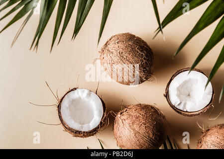 Coconuts on a pastel background, top view. Stock Photo