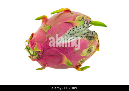 Rotten dragon fruit isolated on white background Stock Photo