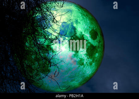 full beaver moon back silhouette dry tree in night sky, Elements of this image furnished by NASA Stock Photo