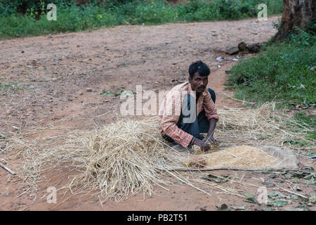 Ayarabeedu forest, Karnataka, India - November 1, 2013: Siting tribal man in the green forest along dirt road manually threshes rice. Stock Photo