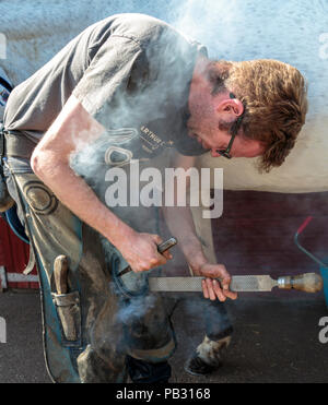 Farrier setting a hot horseshoe on to a horses hoof Stock Photo