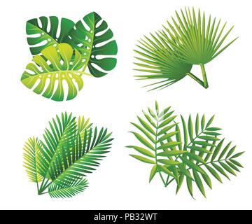 tropical leaves flat style icon set design of Natural floral nature and ...