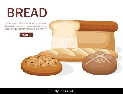 Group of bakery bread. Wheat bread, french baguette, ciabatta, toast bread. Concept design for bakery. Flat vector illustration on white background. D Stock Vector