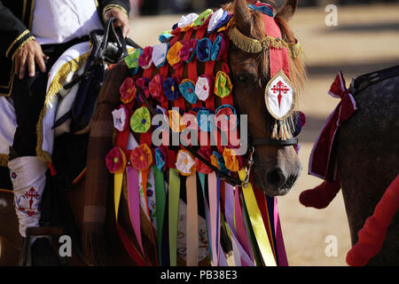 Carpio Tajo, Toledo, Spain. 25th July, 2018. Detail of the ornaments seen on one of the St James festival horses.The St. James Festival in the village of El Carpio de Tajo near Toledo, Spain. The event involves horsemen galloping towards geese suspended by their feet as the mounted participant yanks on the bird's neck until it is torn off. Credit: Manu Reino/SOPA Images/ZUMA Wire/Alamy Live News Stock Photo