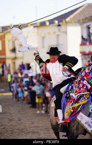 Carpio Tajo, Toledo, Spain. 25th July, 2018. A rider on horseback seen holding the head of a dead goose during the festival.The St. James Festival in the village of El Carpio de Tajo near Toledo, Spain. The event involves horsemen galloping towards geese suspended by their feet as the mounted participant yanks on the bird's neck until it is torn off. Credit: Manu Reino/SOPA Images/ZUMA Wire/Alamy Live News Stock Photo