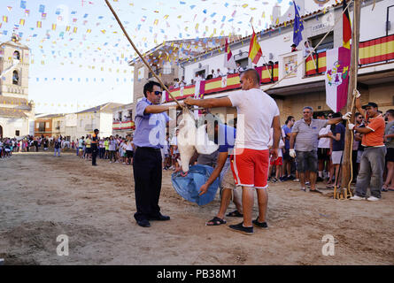 Carpio Tajo, Toledo, Spain. 25th July, 2018. Three people seen replacing a headless goose during the festival.The St. James Festival in the village of El Carpio de Tajo near Toledo, Spain. The event involves horsemen galloping towards geese suspended by their feet as the mounted participant yanks on the bird's neck until it is torn off. Credit: Manu Reino/SOPA Images/ZUMA Wire/Alamy Live News Stock Photo