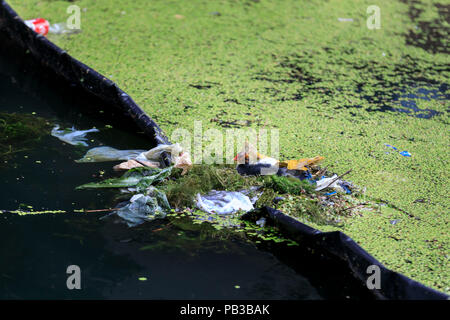 Paddington Basin, London, UK, 26th July 2018. A pair of moorhens build a nest for their chick from plastic rubbish by diving for discarded plastic wrappers, plastic cups, straws and other items of rubbish, as well as green algae. Levels of water pollution and plastics found in water reservoirs and the ocean have risen strongly and were recently highlighted repeatedly in news reports and studies. WIldlife suffers as a consequence. Credit: Imageplotter News and Sports/Alamy Live News Stock Photo