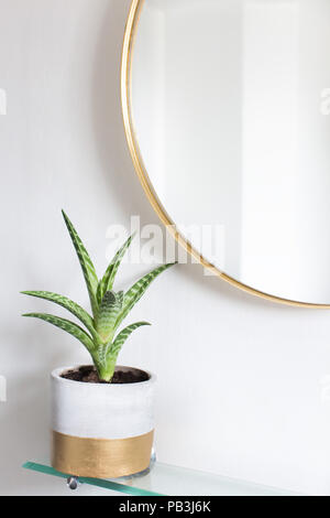 A succulent (Aloe Vera) plant in a pot next to a round gold-framed mirror Stock Photo