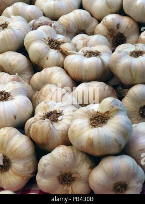 A great selection of foods on sale in this outdoor market of Sete, Closeup of fresh Garlic Bulbs Stock Photo