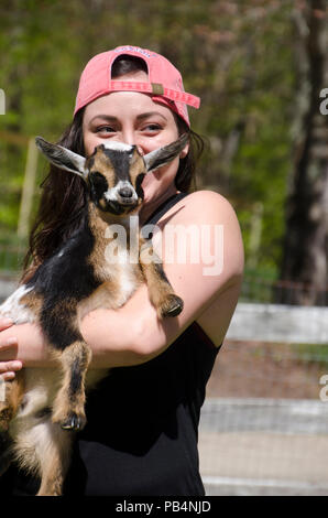Woman cuddling Nigerian baby Goat, Cumberland Maine, USA Stock Photo