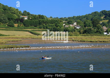 Kayakers on the river Axe tidal estuary near town of Seaton in East Devon Stock Photo